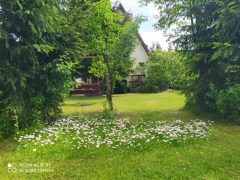 Apartament Lesny Supraśl Esterno foto